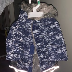 Dog winter coat
